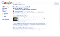 Online video rankings in Google NZ