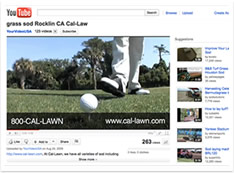 An online video about golf in NZ