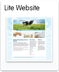 One of our affordable websites package in NZ